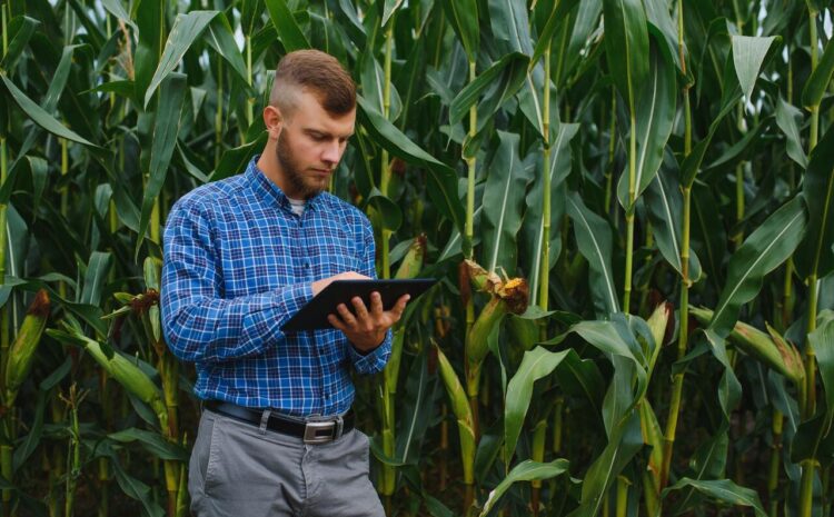  CURSO TÉCNICO EM AGRICULTURA